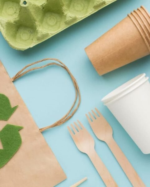 Eco-Friendly & Biodegradable Food Packaging Solutions