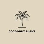 Coconut Plants Suitable For Plantation Projects