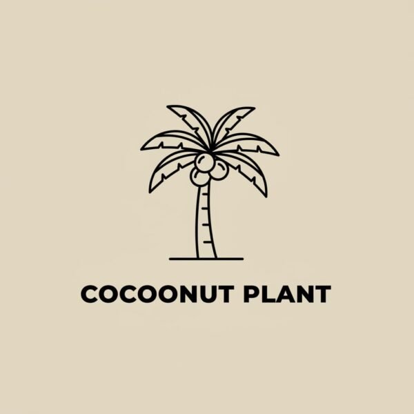 Quality Coconut Plants For Farm Development